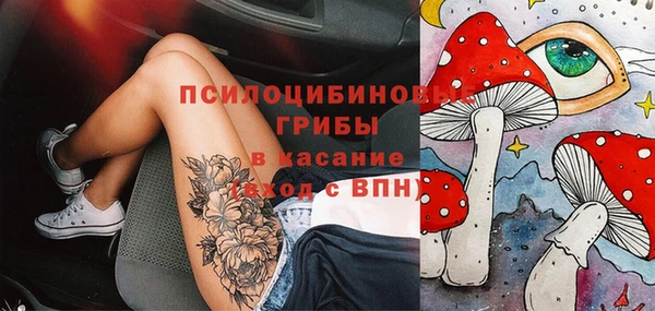 гидропоника Абаза