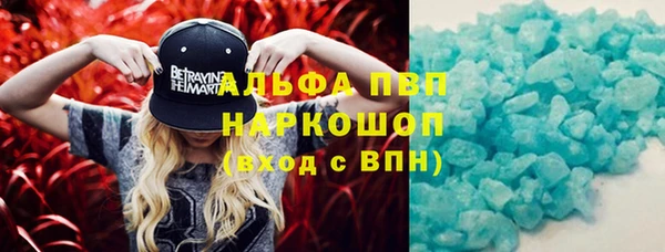 ешки Новодвинск