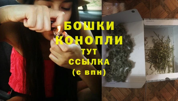гидропоника Абаза