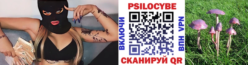 цены наркотик  Усолье  Псилоцибиновые грибы мицелий 